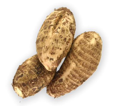 Taro Root 1 LBS